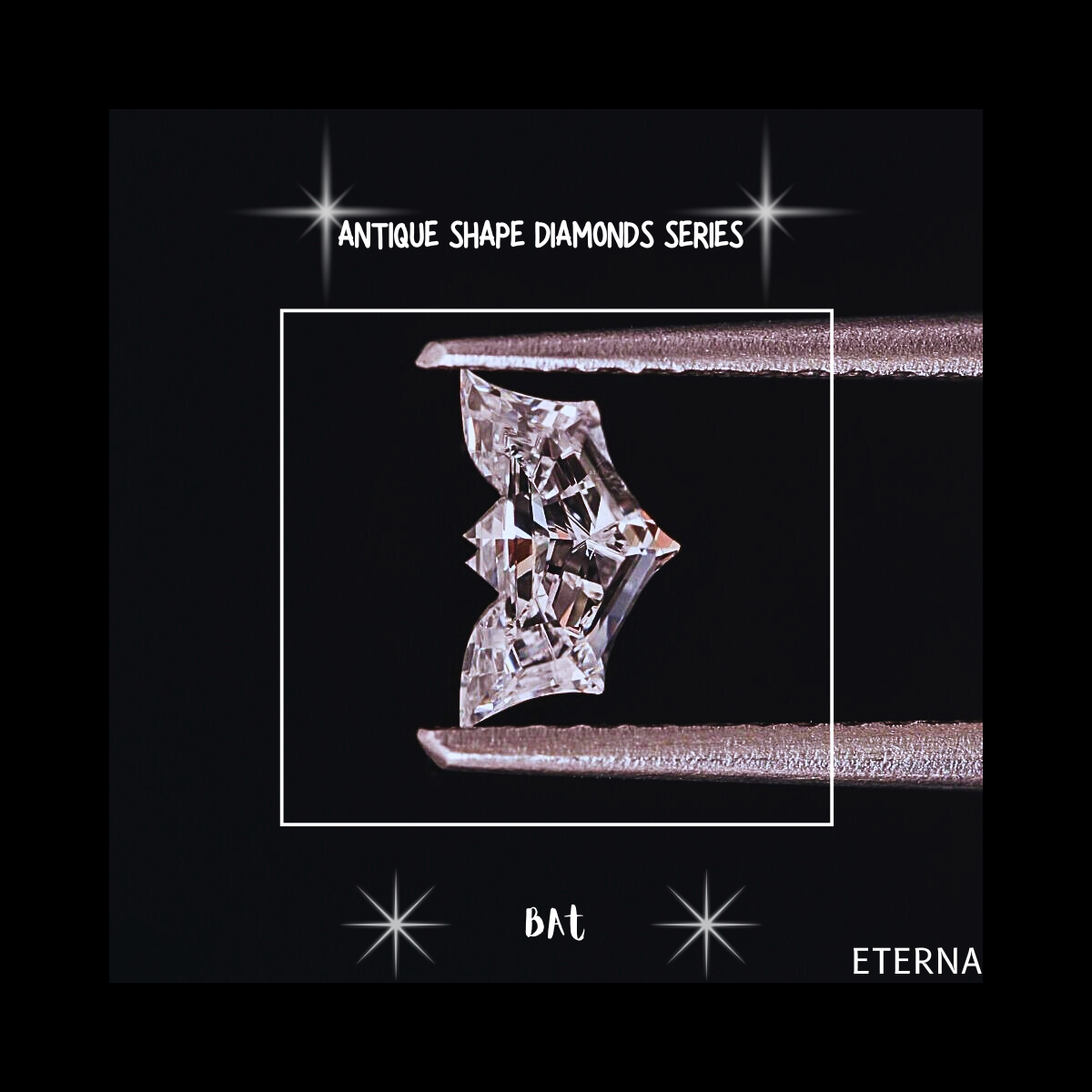 Eterna Nocturne Bat Cut - Image 3