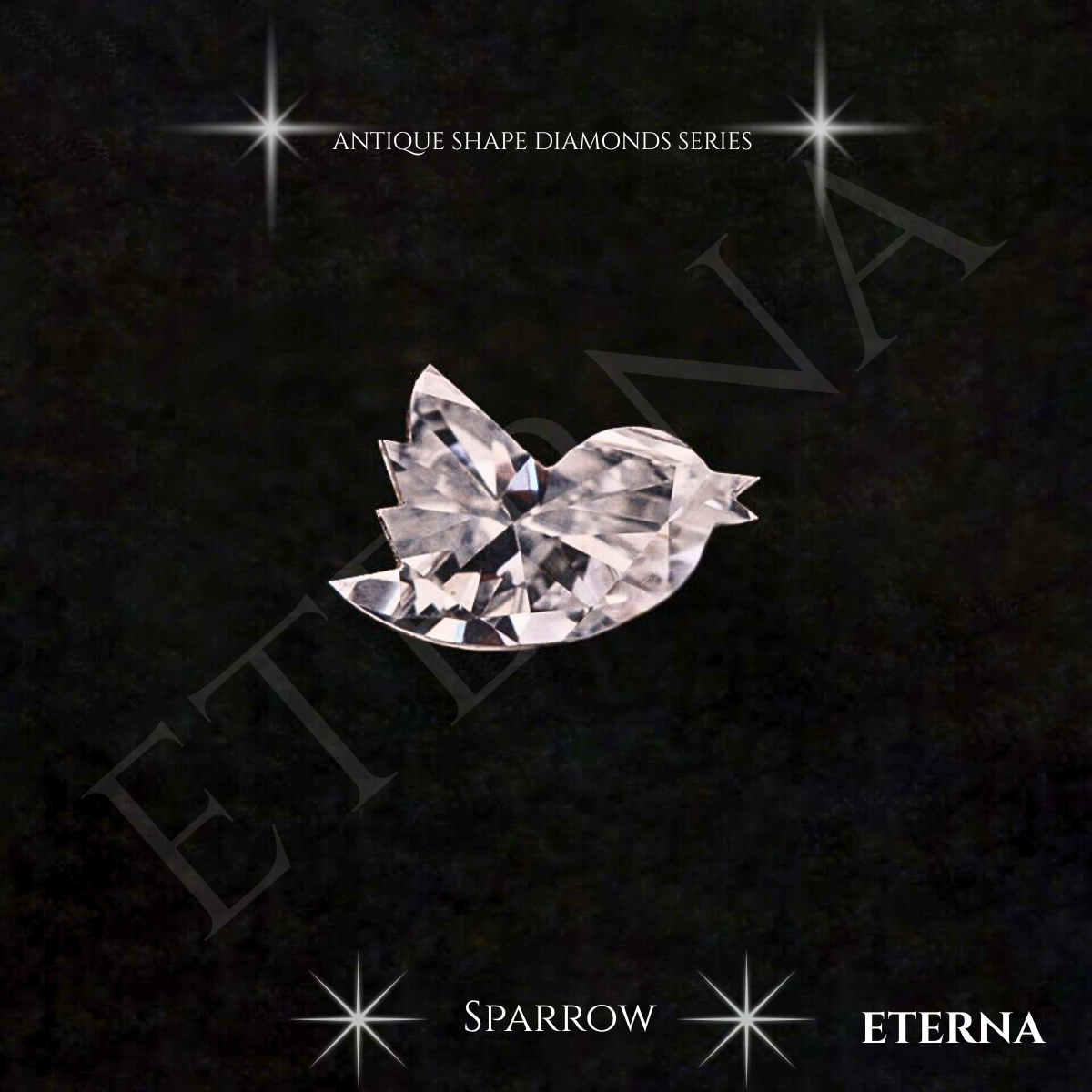 Eterna Aurelian Sparrow Cut - Image 5