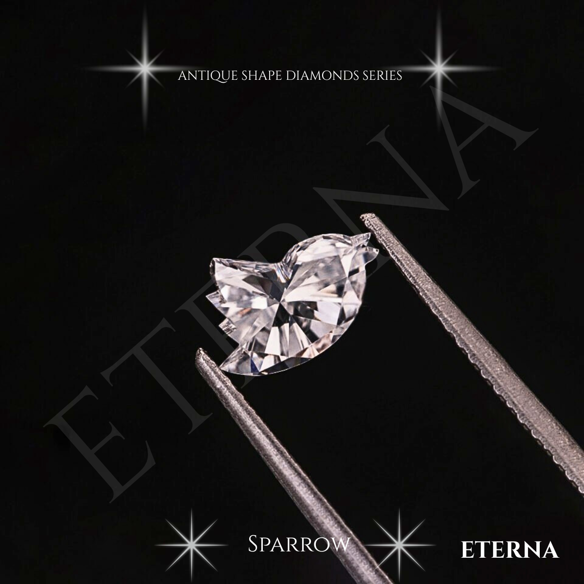 Eterna Aurelian Sparrow Cut - Image 3