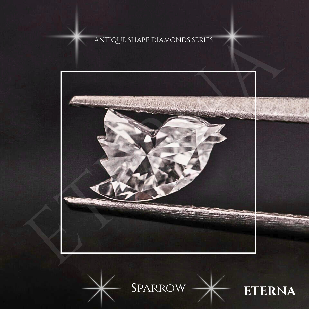 Eterna Aurelian Sparrow Cut - Image 7