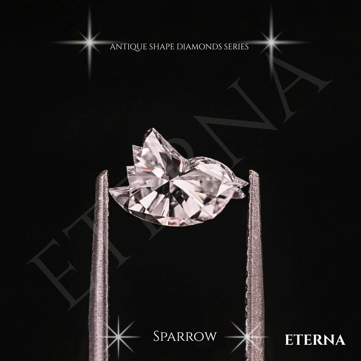 Eterna Aurelian Sparrow Cut - Image 8
