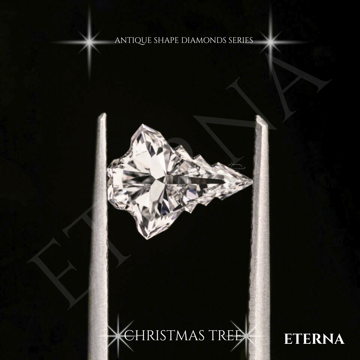 Eterna Noël Evergreen Cut - Image 9