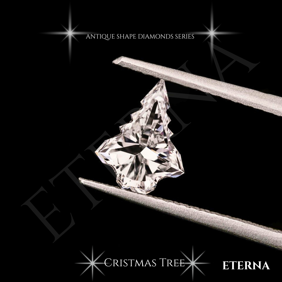 Eterna Noël Evergreen Cut - Image 10