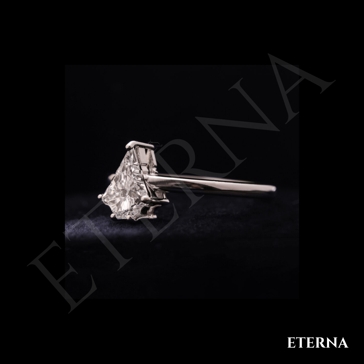Eterna Noël Evergreen Cut - Image 4