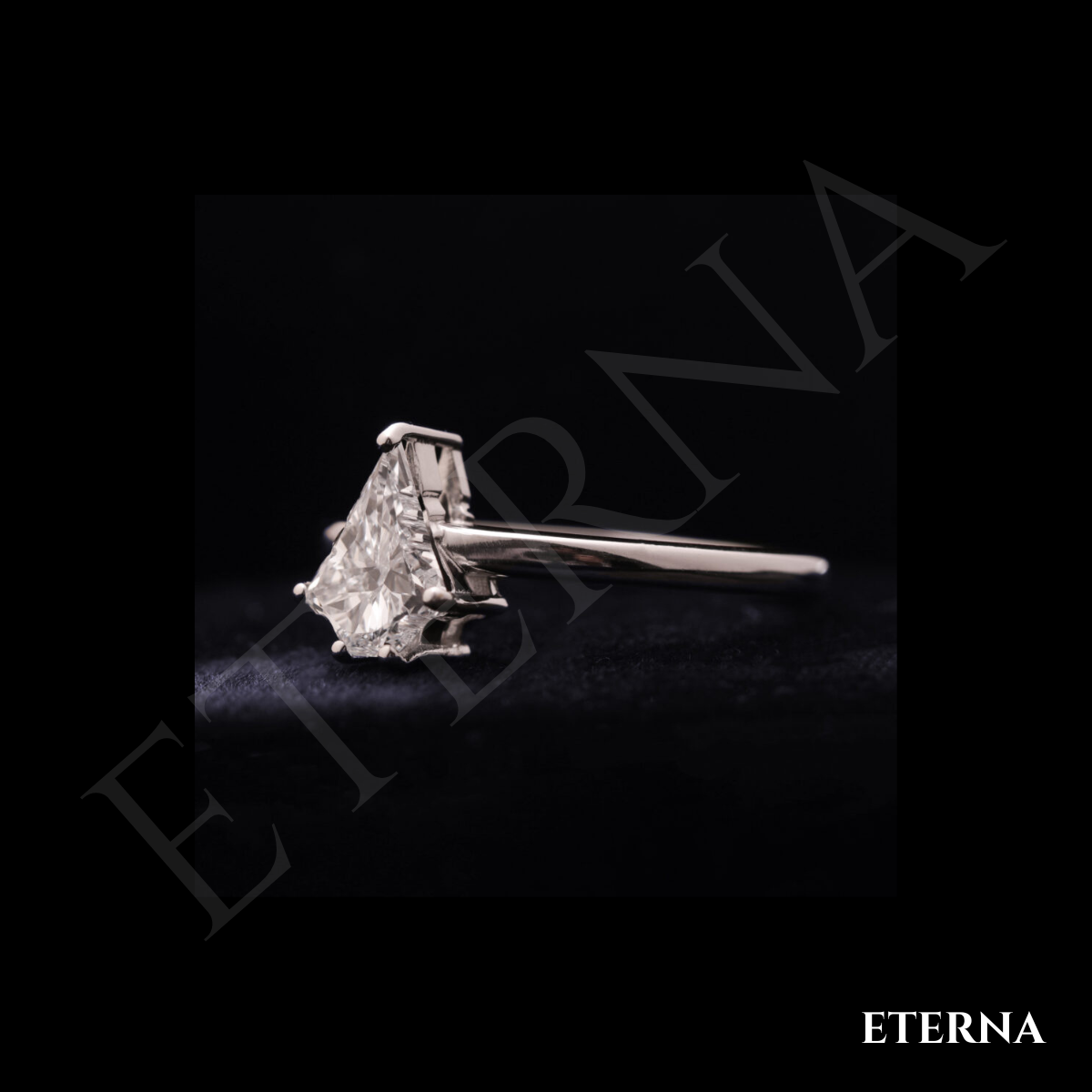 Eterna Noël Evergreen Cut - Image 6